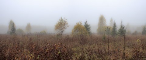 2016/10 Ловцы туманов 3 место